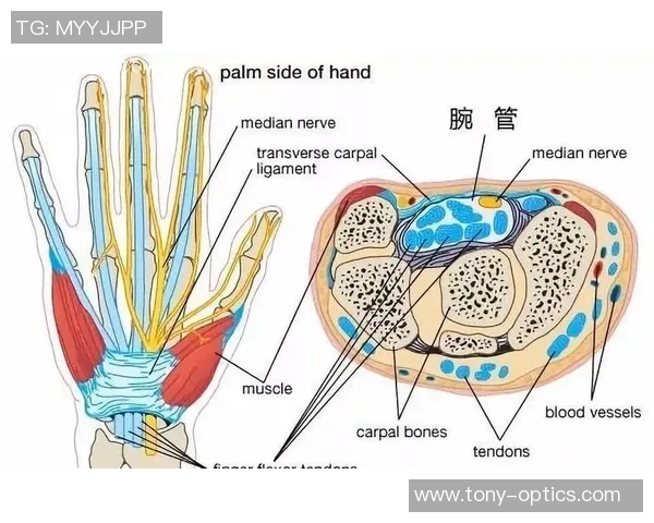 电竞选手腕管综合征与颈椎问题的成因及有效预防措施探讨